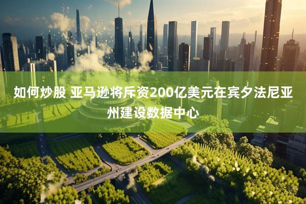 如何炒股 亚马逊将斥资200亿美元在宾夕法尼亚州建设数据中心