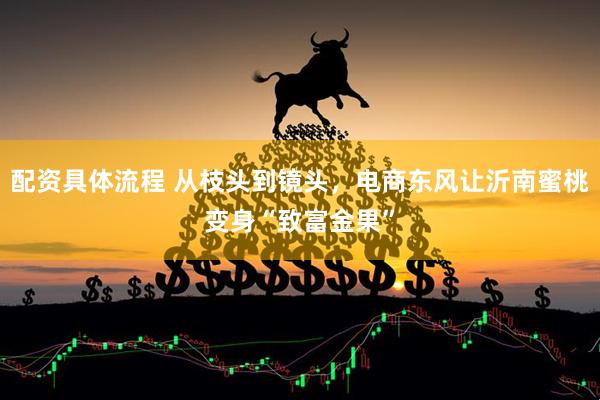 配资具体流程 从枝头到镜头，电商东风让沂南蜜桃变身“致富金果”